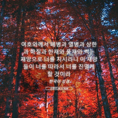 Picture 05 - 신명기 28:22 KOR - 여호와께서 폐병과 열병과 상한과 - Bible Verse Picture