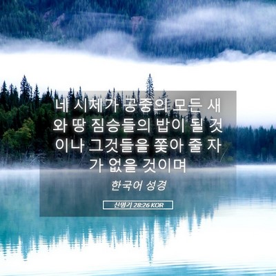 Picture 05 - 신명기 28:26 KOR - 네 시체가 공중의 모든 새와 땅 - Bible Verse Picture