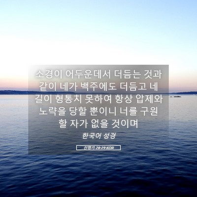 Picture 05 - 신명기 28:29 KOR - 소경이 어두운데서 더듬는 것과 같이 - Bible Verse Picture