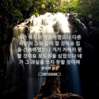 Picture 05 - 신명기 28:30 KOR - 네가 여자와 약혼하였으나 다른 - Bible Verse Picture