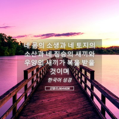Picture 05 - 신명기 28:4 KOR - 네 몸의 소생과 네 토지의 소산과 네 - Bible Verse Picture