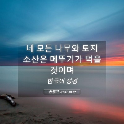 Picture 05 - 신명기 28:42 KOR - 네 모든 나무와 토지 소산은 - Bible Verse Picture