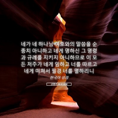 Picture 05 - 신명기 28:45 KOR - 네가 네 하나님 여호와의 말씀을 - Bible Verse Picture