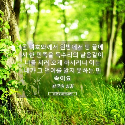 Picture 05 - 신명기 28:49 KOR - 곧 여호와께서 원방에서 땅 끝에서 - Bible Verse Picture