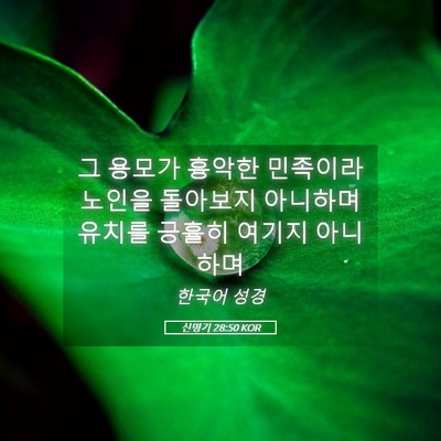Picture 05 - 신명기 28:50 KOR - 그 용모가 흉악한 민족이라 노인을 - Bible Verse Picture