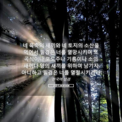 Picture 05 - 신명기 28:51 KOR - 네 육축의 새끼와 네 토지의 소산을 - Bible Verse Picture