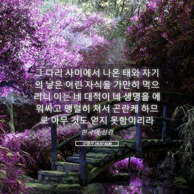 Picture 05 - 신명기 28:57 KOR - 그 다리 사이에서 나온 태와 자기의 - Bible Verse Picture