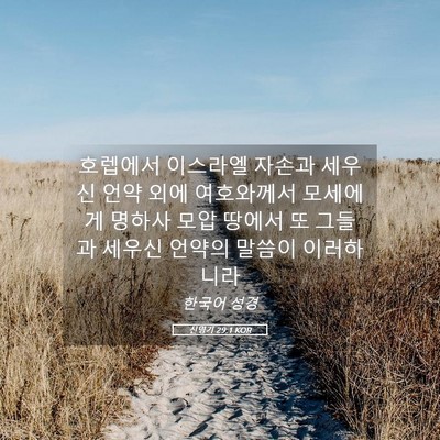 Picture 05 - 신명기 29:1 KOR - 호렙에서 이스라엘 자손과 세우신 - Bible Verse Picture