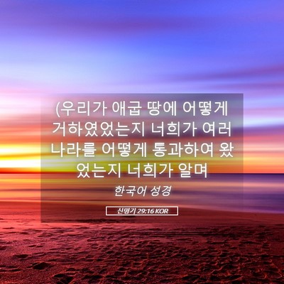 Picture 05 - 신명기 29:16 KOR - (우리가 애굽 땅에 어떻게 - Bible Verse Picture