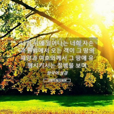 Picture 05 - 신명기 29:22 KOR - 너희 뒤에 일어나는 너희 자손과 - Bible Verse Picture