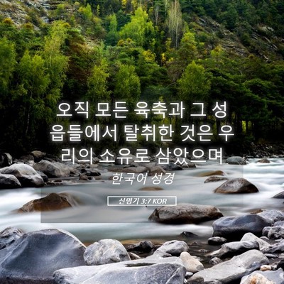 Picture 05 - 신명기 3:7 KOR - 오직 모든 육축과 그 성읍들에서 - Bible Verse Picture