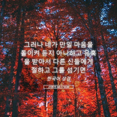 Picture 05 - 신명기 30:17 KOR - 그러나 네가 만일 마음을 돌이켜 - Bible Verse Picture
