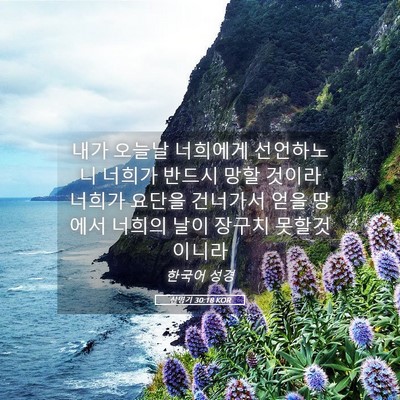 Picture 05 - 신명기 30:18 KOR - 내가 오늘날 너희에게 선언하노니 - Bible Verse Picture