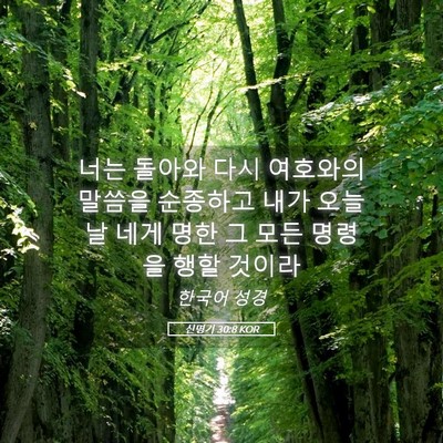 Picture 05 - 신명기 30:8 KOR - 너는 돌아와 다시 여호와의 말씀을 - Bible Verse Picture