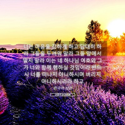 Picture 05 - 신명기 31:6 KOR - 너는 마음을 강하게 하고 담대히 - Bible Verse Picture