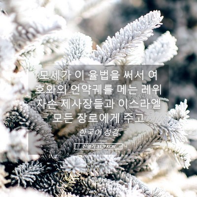Picture 05 - 신명기 31:9 KOR - 모세가 이 율법을 써서 여호와의 - Bible Verse Picture