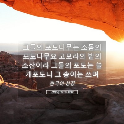 Picture 05 - 신명기 32:32 KOR - 그들의 포도나무는 소돔의 - Bible Verse Picture