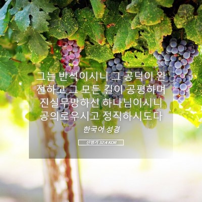 Picture 05 - 신명기 32:4 KOR - 그는 반석이시니 그 공덕이 완전하고 - Bible Verse Picture