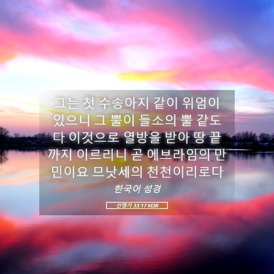 Picture 05 - 신명기 33:17 KOR - 그는 첫 수송아지 같이 위엄이 - Bible Verse Picture