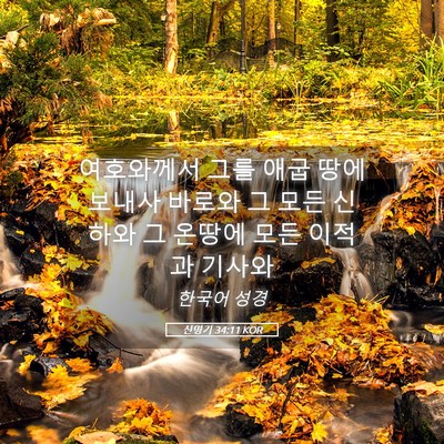 Picture 05 - 신명기 34:11 KOR - 여호와께서 그를 애굽 땅에 보내사 - Bible Verse Picture