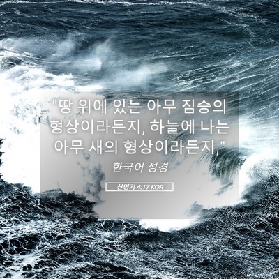 Picture 05 - 신명기 4:17 KOR - 