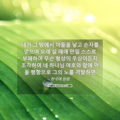 Picture 05 - 신명기 4:25 KOR - 네가 그 땅에서 아들을 낳고 손자를 - Bible Verse Picture