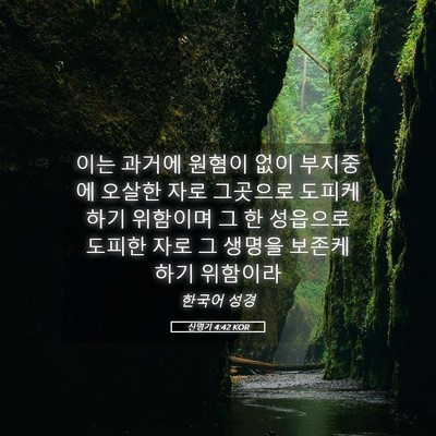 Picture 05 - 신명기 4:42 KOR - 이는 과거에 원혐이 없이 부지중에 - Bible Verse Picture