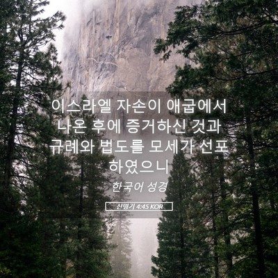 Picture 05 - 신명기 4:45 KOR - 이스라엘 자손이 애굽에서 나온 후에 - Bible Verse Picture