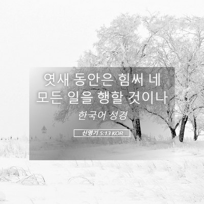 Picture 05 - 신명기 5:13 KOR - 엿새 동안은 힘써 네 모든 일을 행할 - Bible Verse Picture