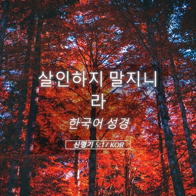 Picture 05 - 신명기 5:17 KOR - 살인하지 - Bible Verse Picture