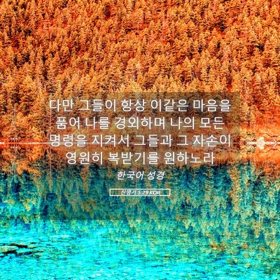 Picture 05 - 신명기 5:29 KOR - 다만 그들이 항상 이같은 마음을 - Bible Verse Picture