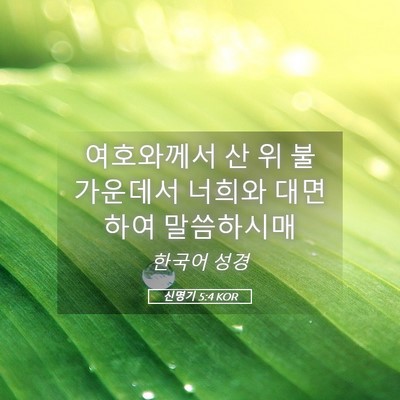 Picture 05 - 신명기 5:4 KOR - 여호와께서 산 위 불 가운데서 - Bible Verse Picture