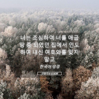 Picture 05 - 신명기 6:12 KOR - 너는 조심하여 너를 애굽 땅 종 - Bible Verse Picture