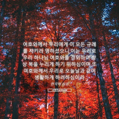 Picture 05 - 신명기 6:24 KOR - 여호와께서 우리에게 이 모든 규례를 - Bible Verse Picture