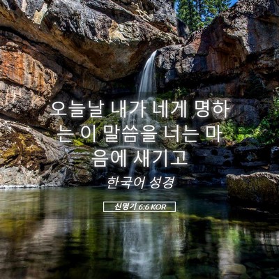 Picture 05 - 신명기 6:6 KOR - 오늘날 내가 네게 명하는 이 말씀을 - Bible Verse Picture