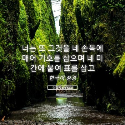 Picture 05 - 신명기 6:8 KOR - 너는 또 그것을 네 손목에 매어 - Bible Verse Picture