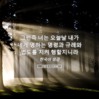 Picture 05 - 신명기 7:11 KOR - 그런즉 너는 오늘날 내가 네게 - Bible Verse Picture