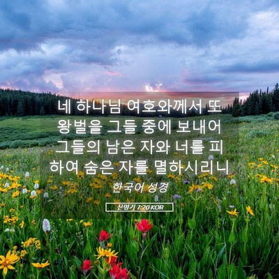 Picture 05 - 신명기 7:20 KOR - 네 하나님 여호와께서 또 왕벌을 - Bible Verse Picture
