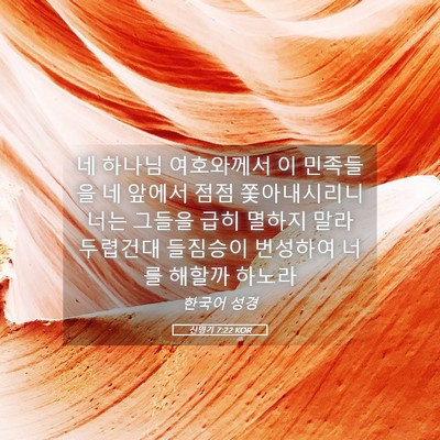 Picture 05 - 신명기 7:22 KOR - 네 하나님 여호와께서 이 민족들을 - Bible Verse Picture
