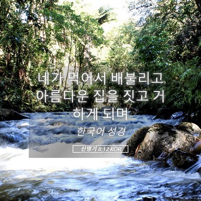Picture 05 - 신명기 8:12 KOR - 네가 먹어서 배불리고 아름다운 집을 - Bible Verse Picture
