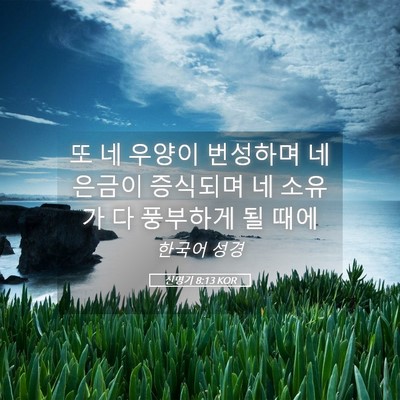 Picture 05 - 신명기 8:13 KOR - 또 네 우양이 번성하며 네 은금이 - Bible Verse Picture