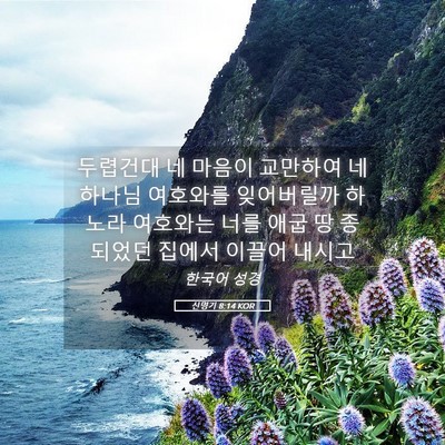 Picture 05 - 신명기 8:14 KOR - 두렵건대 네 마음이 교만하여 네 - Bible Verse Picture
