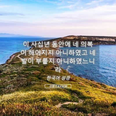Picture 05 - 신명기 8:4 KOR - 이 사십년 동안에 네 의복이 - Bible Verse Picture