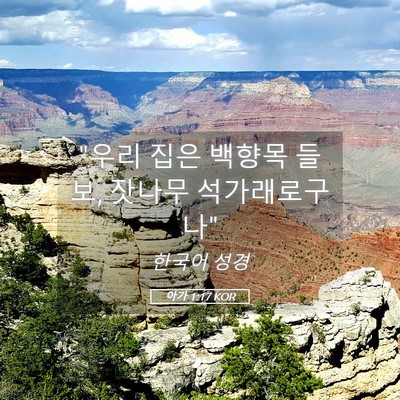 Picture 05 - 아가 1:17 KOR - 