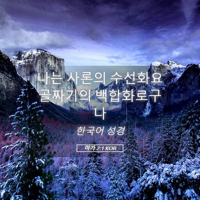 Picture 05 - 아가 2:1 KOR - 나는 사론의 수선화요 골짜기의 - Bible Verse Picture