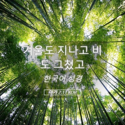 Picture 05 - 아가 2:11 KOR - 겨울도 지나고 비도 - Bible Verse Picture