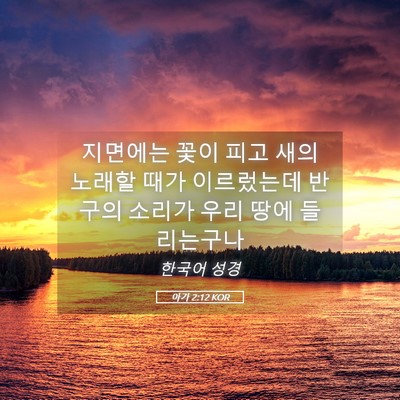 Picture 05 - 아가 2:12 KOR - 지면에는 꽃이 피고 새의 노래할 - Bible Verse Picture
