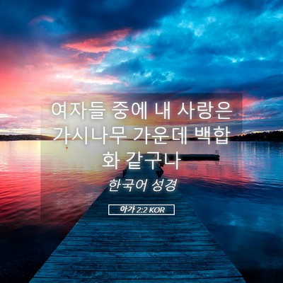 Picture 05 - 아가 2:2 KOR - 여자들 중에 내 사랑은 가시나무 - Bible Verse Picture