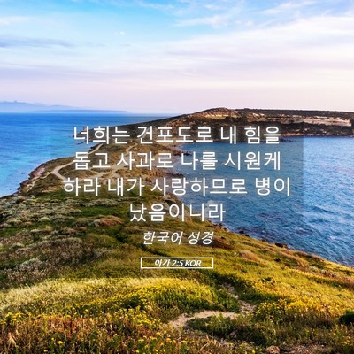 Picture 05 - 아가 2:5 KOR - 너희는 건포도로 내 힘을 돕고 - Bible Verse Picture