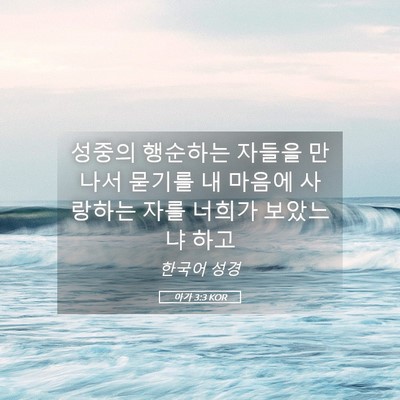 Picture 05 - 아가 3:3 KOR - 성중의 행순하는 자들을 만나서 - Bible Verse Picture
